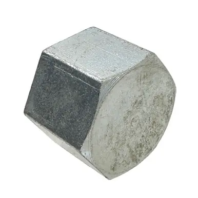 Reelcraft 261396 - Pipe Cap 1" NPT(F)