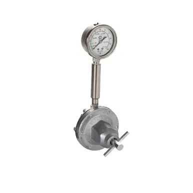 GRACO 209030 - Low Pressure Fluid Regulator, 5-100 PSI Range, Stainless Steel, 1/2 NPT(F)