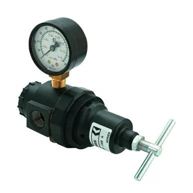 GRACO 109075 - Air Regulator w/ Gauge, 3/8" NPT(F), 300 PSI