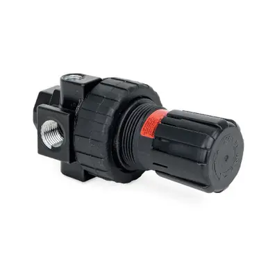 GRACO 104266 – Air Regulator, 1/2" NPT(F), 0-250 PSI