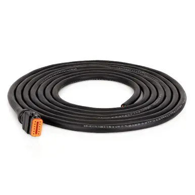 GRACO 26A884 - Compact Dyna-Star 12-Pin DT Wiring Extension, 12-Wire, 20 ft, Flying Leads